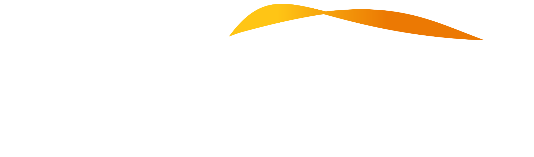 Arista